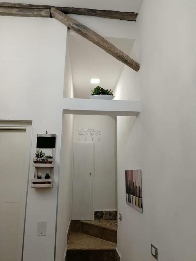 Sopra I Tetti Di Ballaro 巴勒莫 外观 照片